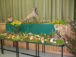 3 Füchse bewachen den Wald