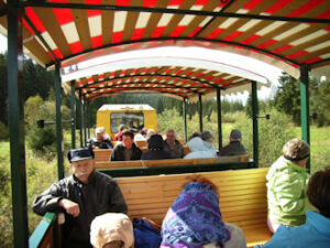 Auf der Muldentalbahn